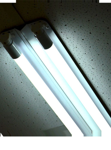 代理价格内部的云呼死你轰炸免费网页平台